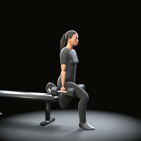 Dumbbell Bulgarian split squat: Trainaq's 3D athlete